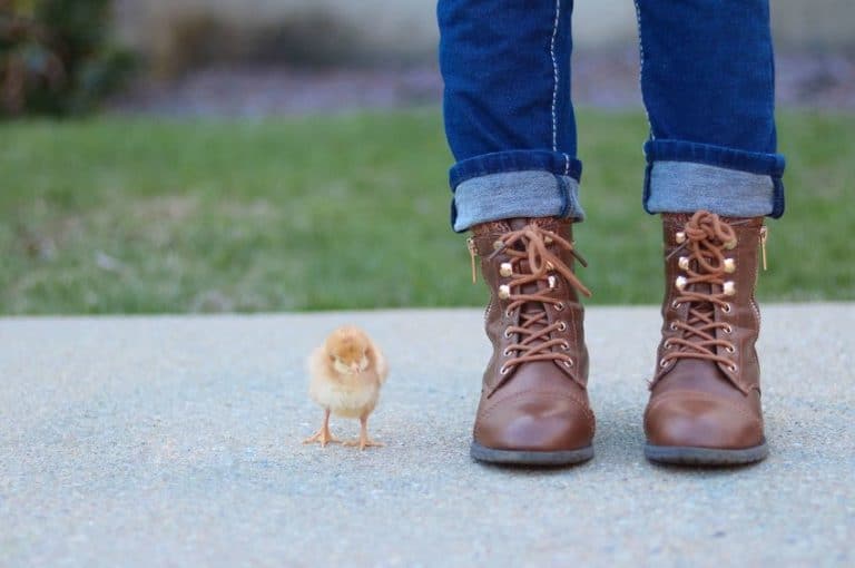 The 3 Best Screenwriting Books For Beginners You Should Own