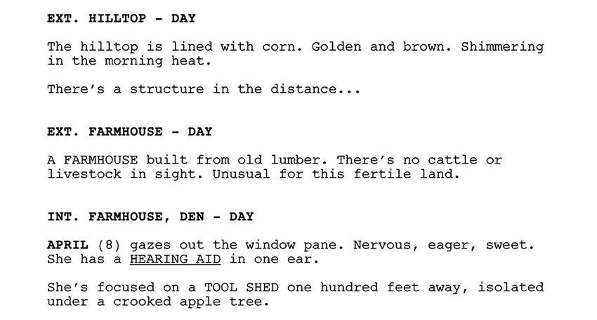 Short Script Writing - 8+ Examples, Format, Pdf